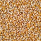 Business 3 image AGROVITTLE PRIVATE LIMITED Agricultural Service Supply Agency in Navi Mumbai MH