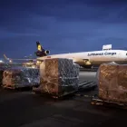 Business 29 image AIRBORNE INTERNATIONAL COURIER SERVICES Residential Courier Services in Mumbai MH