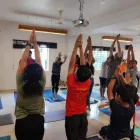 Business 1 image ASHTANGA YOGA SADHNA Yoga Therapy in Bengaluru KA