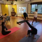 Business 4 image ASHTANGA YOGA SADHNA Yoga Therapy in Bengaluru KA