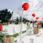 Business 4 image BLISSFUL PLANS EVENTS & MEDIA PVT. LTD. Wedding Planning & Consultants in Hyderabad TG