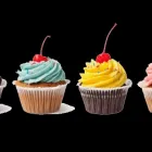 Business 1 image CAKEXPO Cake Bakery in Pune MH