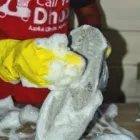 Business 15 image CALL YOUR DHOBI Shoe Cleaning in Delhi DL
