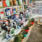 Business 2 image CAROTID HEALTHCARE PVT LTD Health Services in Dehradun UT