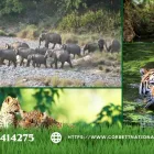 Business 2 image CORBETT NATIONAL PARK TOURISM Travel Services in Naini Tāl UT