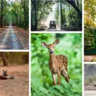 Business 5 image CORBETT NATIONAL PARK TOURISM Travel Services in Naini Tāl UT