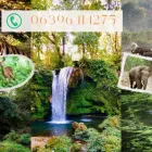 Business 6 image CORBETT NATIONAL PARK TOURISM Travel Services in Naini Tāl UT