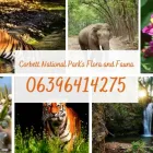 Business 7 image CORBETT NATIONAL PARK TOURISM Travel Services in Naini Tāl UT