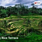 Business 1 image D ASIA TRAVELS Tour Agency in Ernākulam KL