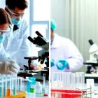Business 1 image DECODE DNA PVT LTD Thesis in New Delhi DL