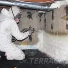 Business 1 image DR.TERRACE WATERPROOFING CONTRACTORS CHENNAI Waterproofing Contractors in Chennai TN