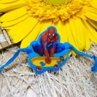 Business 14 image INDIAGIFT - ONLINE GIFT SHOP Gifts in Gurgaon HR
