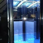 Business 1 image JAIMINI ELEVATORS & ESCALATORS PVT.LTD in New Delhi DL