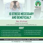 Business 5 image KALPATARU AYURVEDIYA CHIKITSALAYA™ Healthcare Consultants in Pune MH