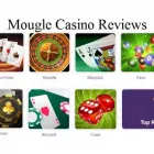Business 1 image MOUGLE CASINO REVIEWS Casinos in Chennai TN