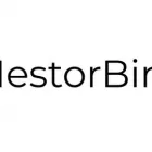 Business 1 image NESTORBIRD Consulting Services in Chandigarh CH