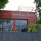 Business 1 image ORANGE TREE - LIGHTING AND FURNITURE STORE IN BANJARA HILLS Furniture Stores in Hyderabad TG