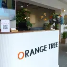 Business 2 image ORANGE TREE - LIGHTING AND FURNITURE STORE IN BANJARA HILLS Furniture Stores in Hyderabad TG