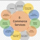 Business 1 image PINNACLE SELLER SERVICES in Delhi DL