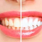 Business 1 image PRADHAM DENTAL - KONDAPUR Dentist in Hyderabad TG