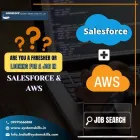 Business 1 image UNIQUE SYSTEM SKILLS - SALESFORCE TRAINING INSTITUTE IN PUNE in Pune MH