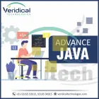 Business 5 image VERIDICAL TECHNOLOGIES Education in Delhi DL
