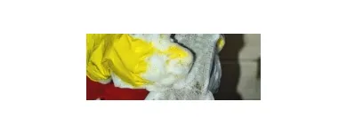 Business 15 image CALL YOUR DHOBI Shoe Cleaning in Delhi DL