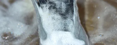 Business 31 image CALL YOUR DHOBI Shoe Cleaning in Delhi DL