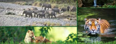 Business 2 image CORBETT NATIONAL PARK TOURISM Travel Services in Naini Tāl UT