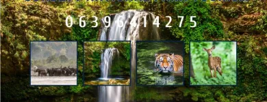 Business 3 image CORBETT NATIONAL PARK TOURISM Travel Services in Naini Tāl UT