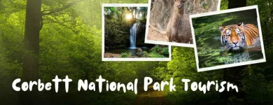 Business 4 image CORBETT NATIONAL PARK TOURISM Travel Services in Naini Tāl UT