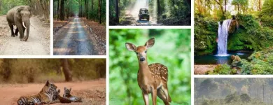 Business 5 image CORBETT NATIONAL PARK TOURISM Travel Services in Naini Tāl UT