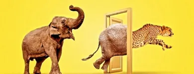 Business 6 image FURIOUS DIGITAL MARKETERS Digital Marketing Services in New Delhi DL