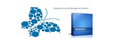 Business 4 image GLOBODOX Software Applications in Mumbai MH