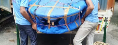 Business 8 image INTERAM RELOCATION PVT LTD Transportation Services in Gurgaon HR