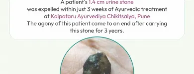 Business 6 image KALPATARU AYURVEDIYA CHIKITSALAYA™ Healthcare Consultants in Pune MH