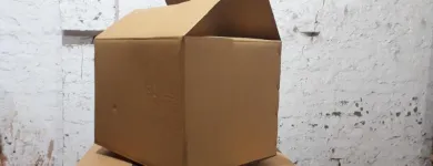 Business 2 image OZONE BOXES Packing Service in Ahmedabad GJ