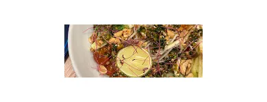 Business 5 image SOROCO HOUSE | ANNA NAGAR Restaurants in Chennai TN