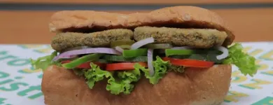 Business 4 image SUBZ BISTRO Sandwiches in New Delhi DL