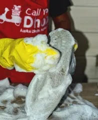 Business 3 image CALL YOUR DHOBI