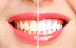 Business 1 image PRADHAM DENTAL - KONDAPUR