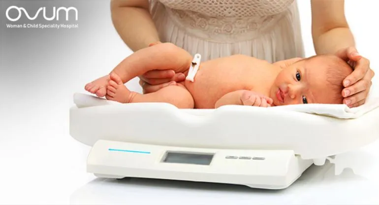 Business 2 image OVUM HOSPITALS