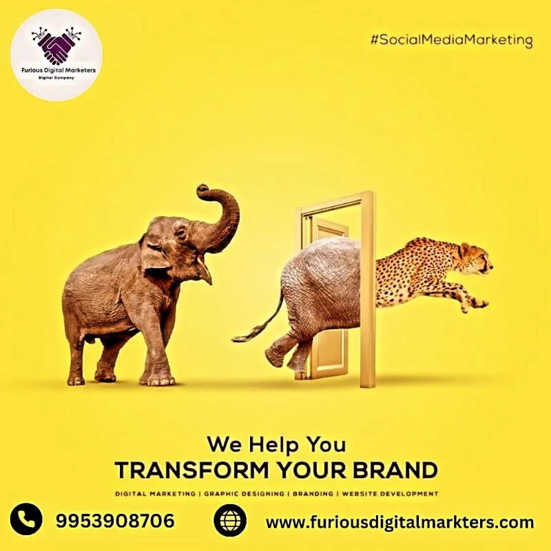 Business 6 image FURIOUS DIGITAL MARKETERS