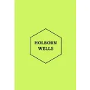 HOLBORN WELLS INDIA PRIVATE LIMITED Research & Development Labs in New Delhi DL